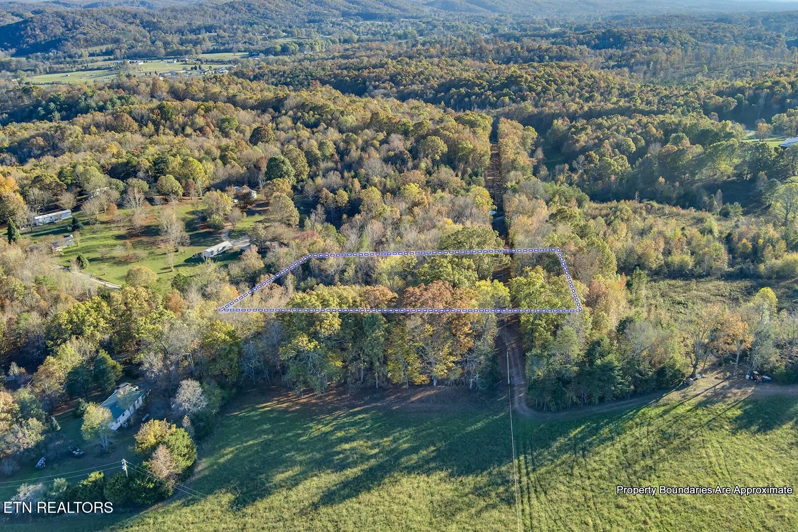 3-5 Morrison Road Decatur, TN 37322 - Photo 9 of 12 tempImagevvEBC9