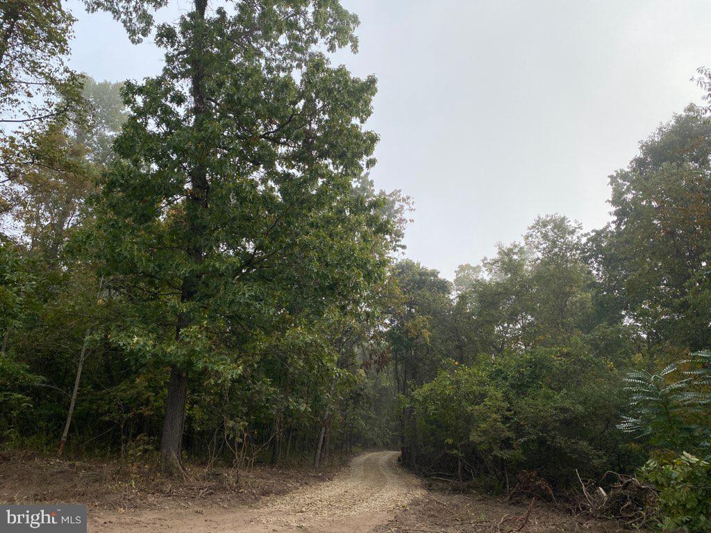 Lot #1 Amity Road Duncannon, PA 17020 - Photo 1 of 6 Gallery Image 1