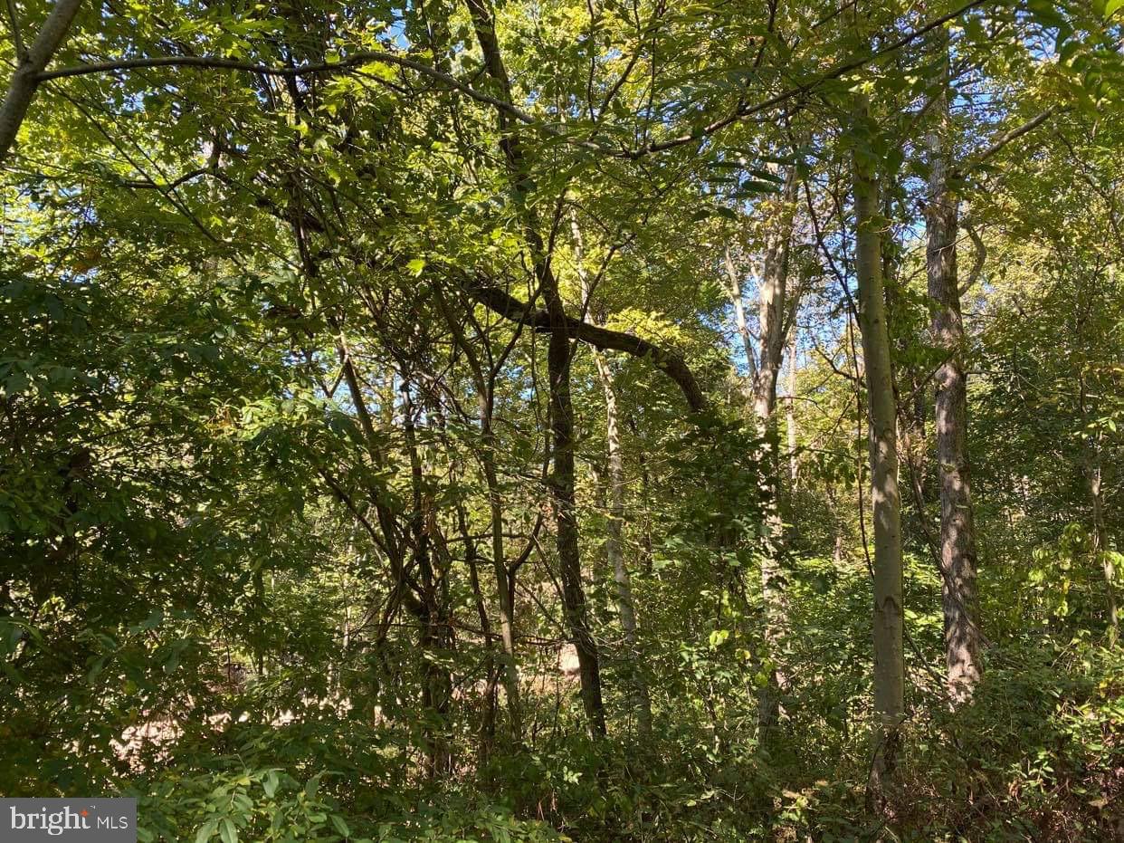Lot #1 Amity Road Duncannon, PA 17020 - Photo 4 of 6 Gallery Image 4