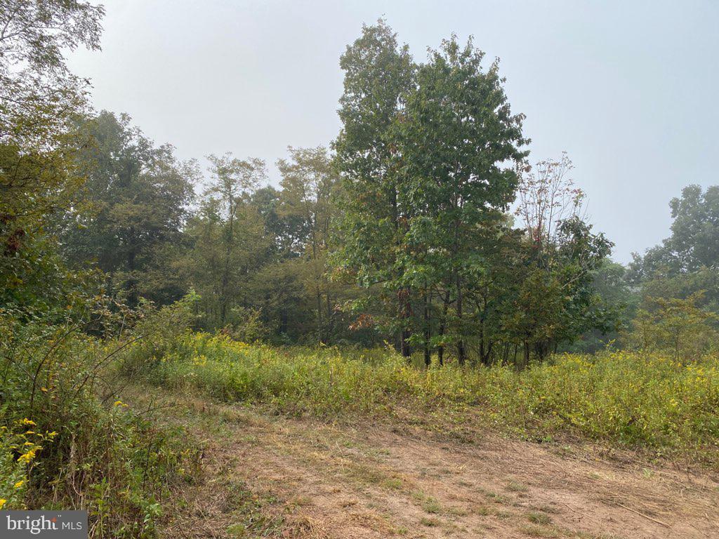 Lot #1 Amity Road Duncannon, PA 17020 - Photo 5 of 6 Gallery Image 5