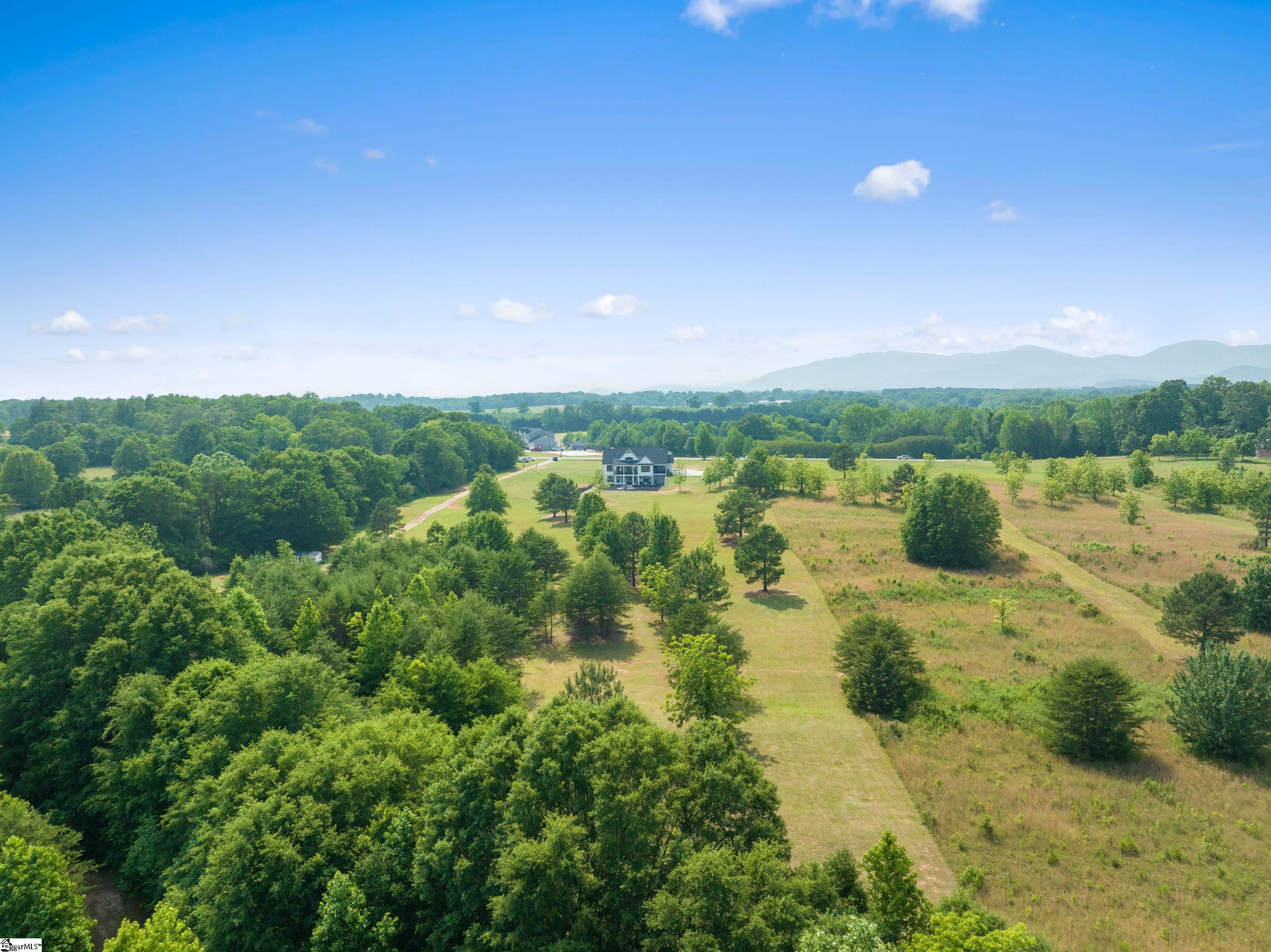 5400 Highway 14 Landrum, SC 29356 - Photo 3 of 36