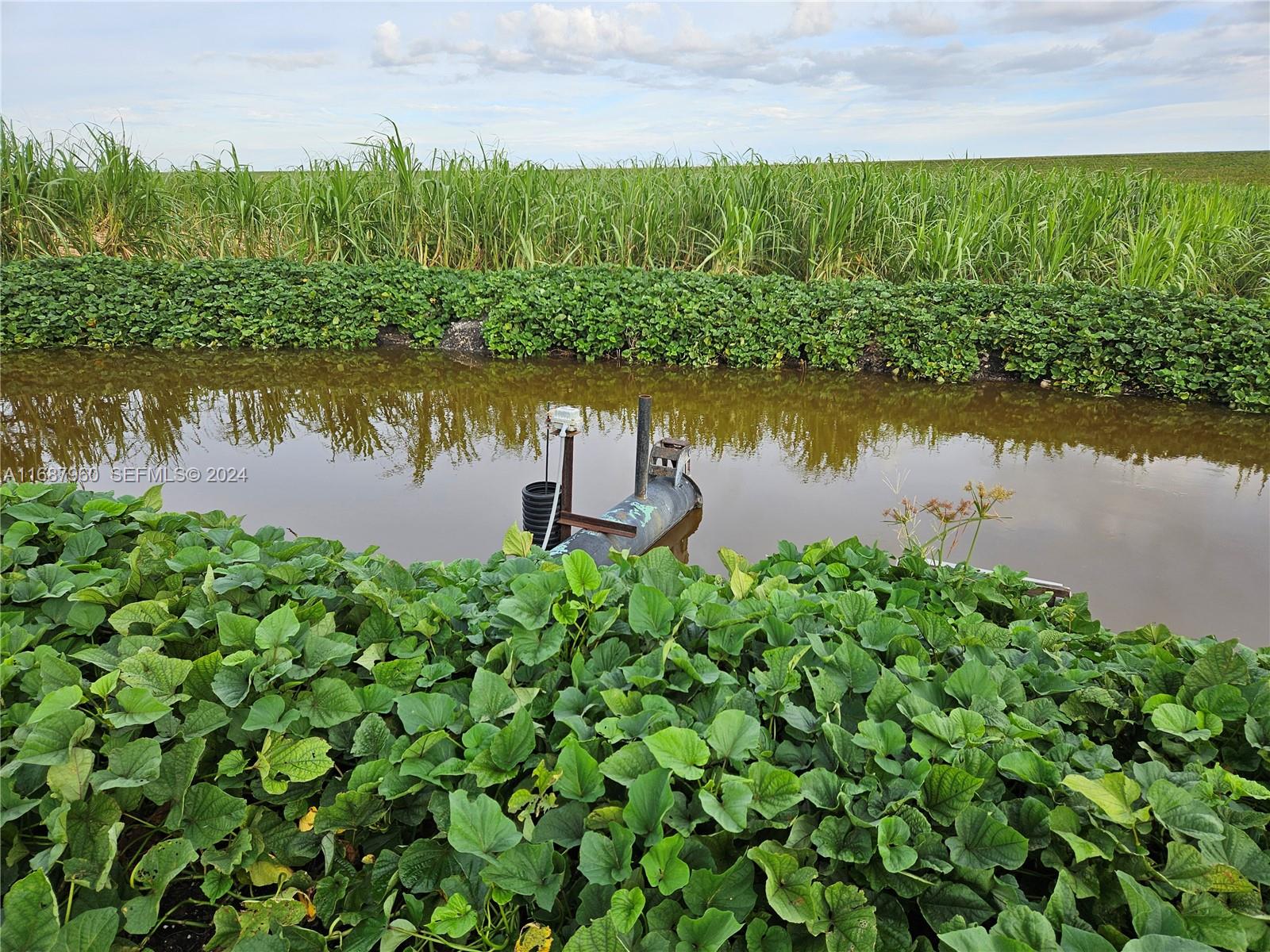 80 State Road Clewiston, FL 33440 - Photo 6 of 7 Photo 6