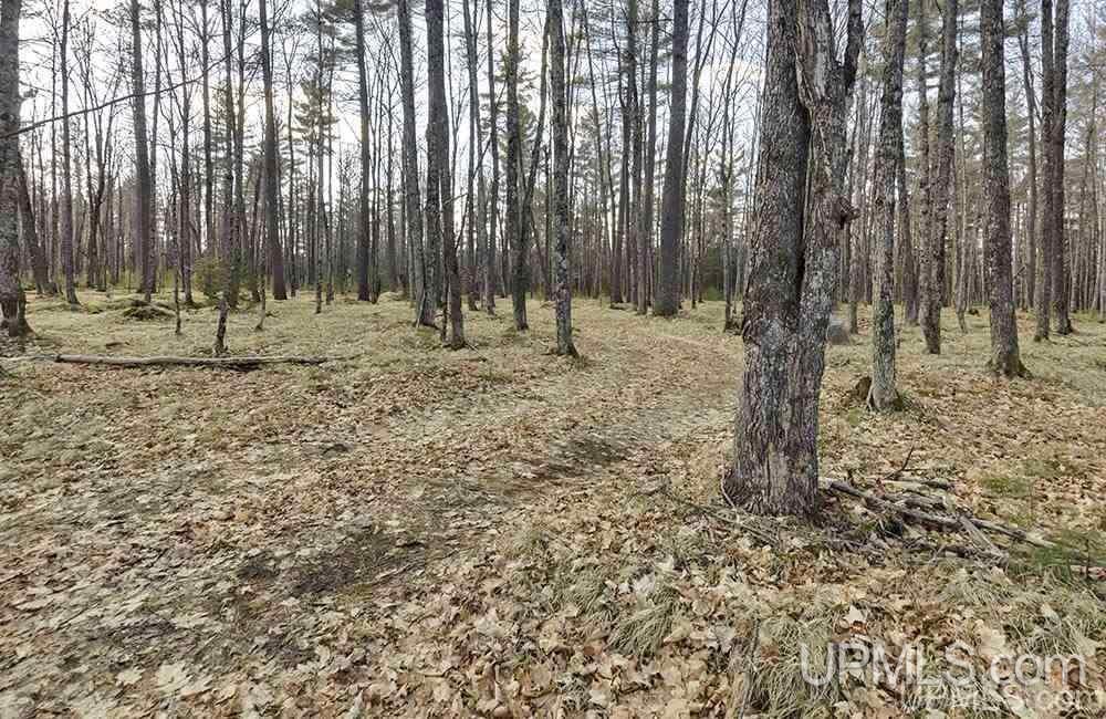 W8654 Co Road Stephenson, MI 49887 - Photo 11 of 14 Gallery Image 11
