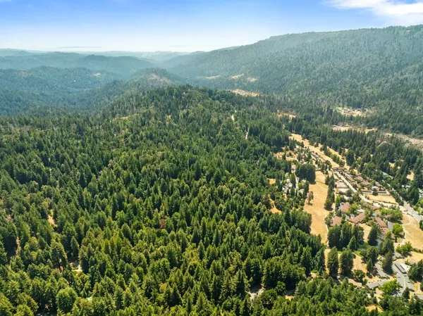 a view of a lush green field with a mountain in the background