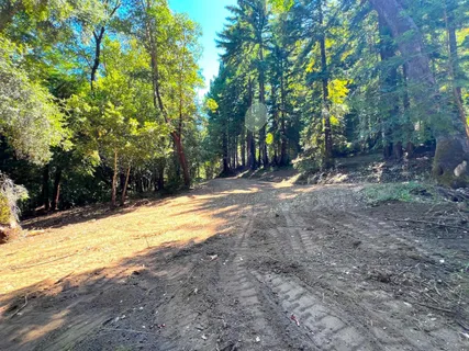 a view of outdoor space and trees