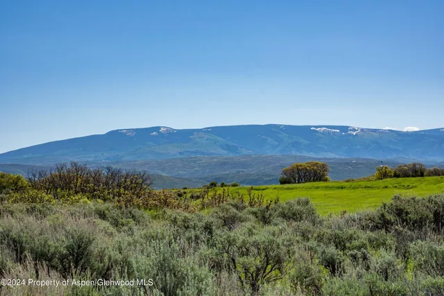 a view of a lush green space with a mountain in the background