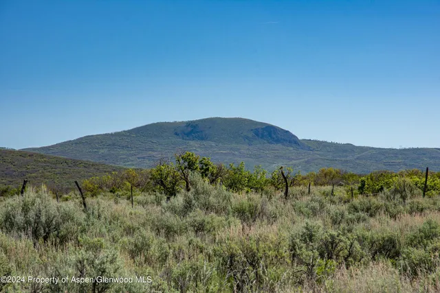 a view of a lush green field with mountains in the background