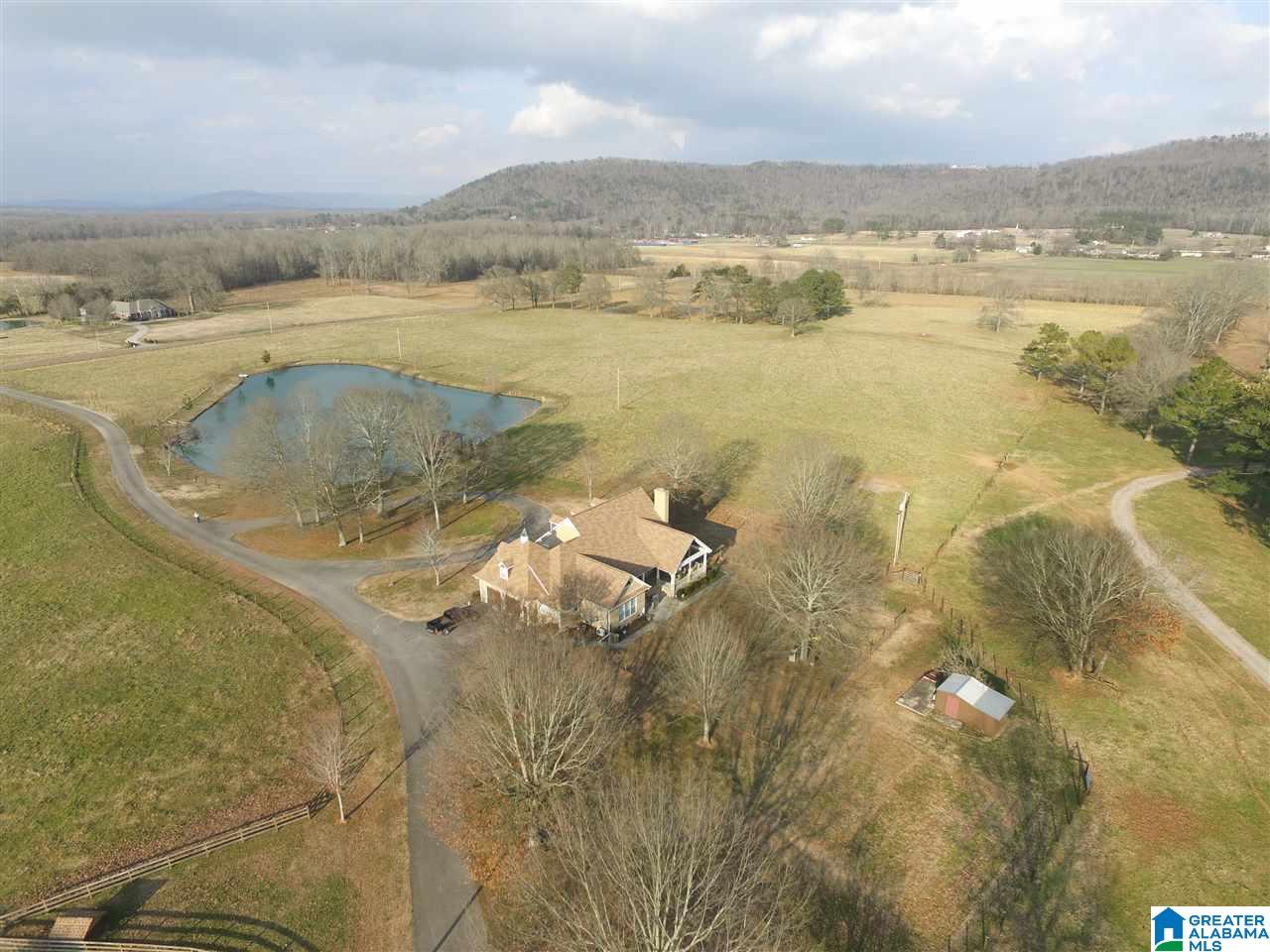629 Merrill Road Grant, AL 35747 - Photo 18 of 45 Gallery Image 18