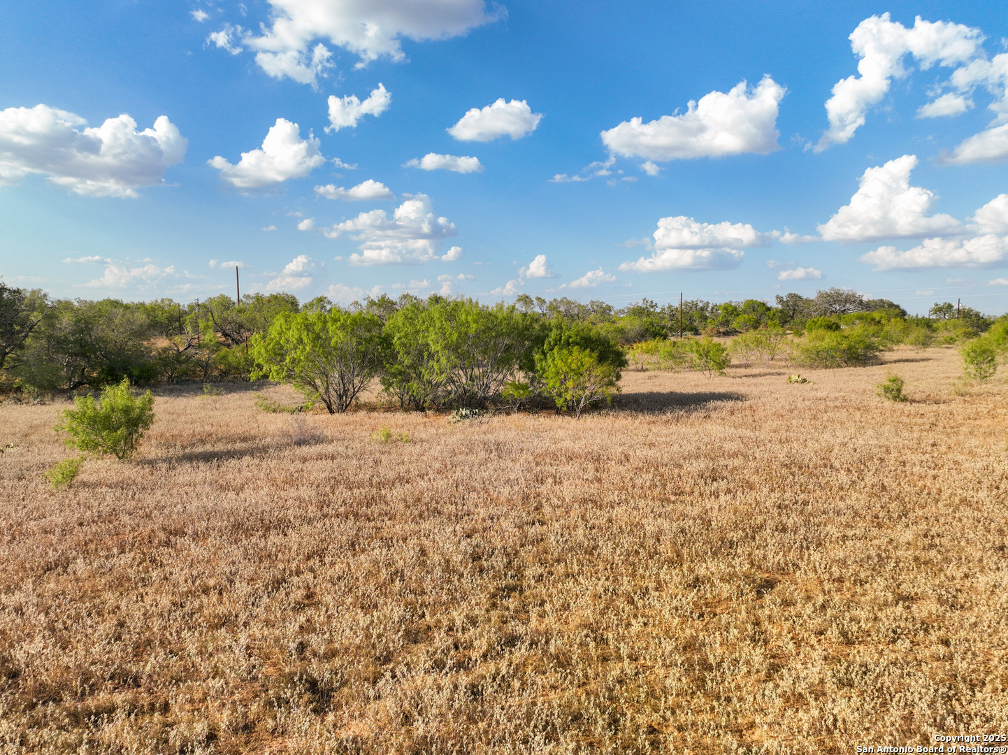 1750 Sandbranch Road Poteet, TX 78065 - Photo 12 of 17 a view of lake and mountain