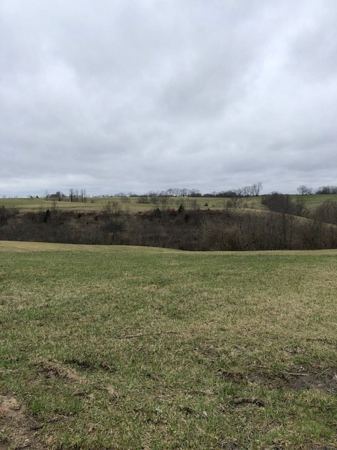 160 Hunters Trail Dry Ridge, KY 41035 - Photo 5 of 6