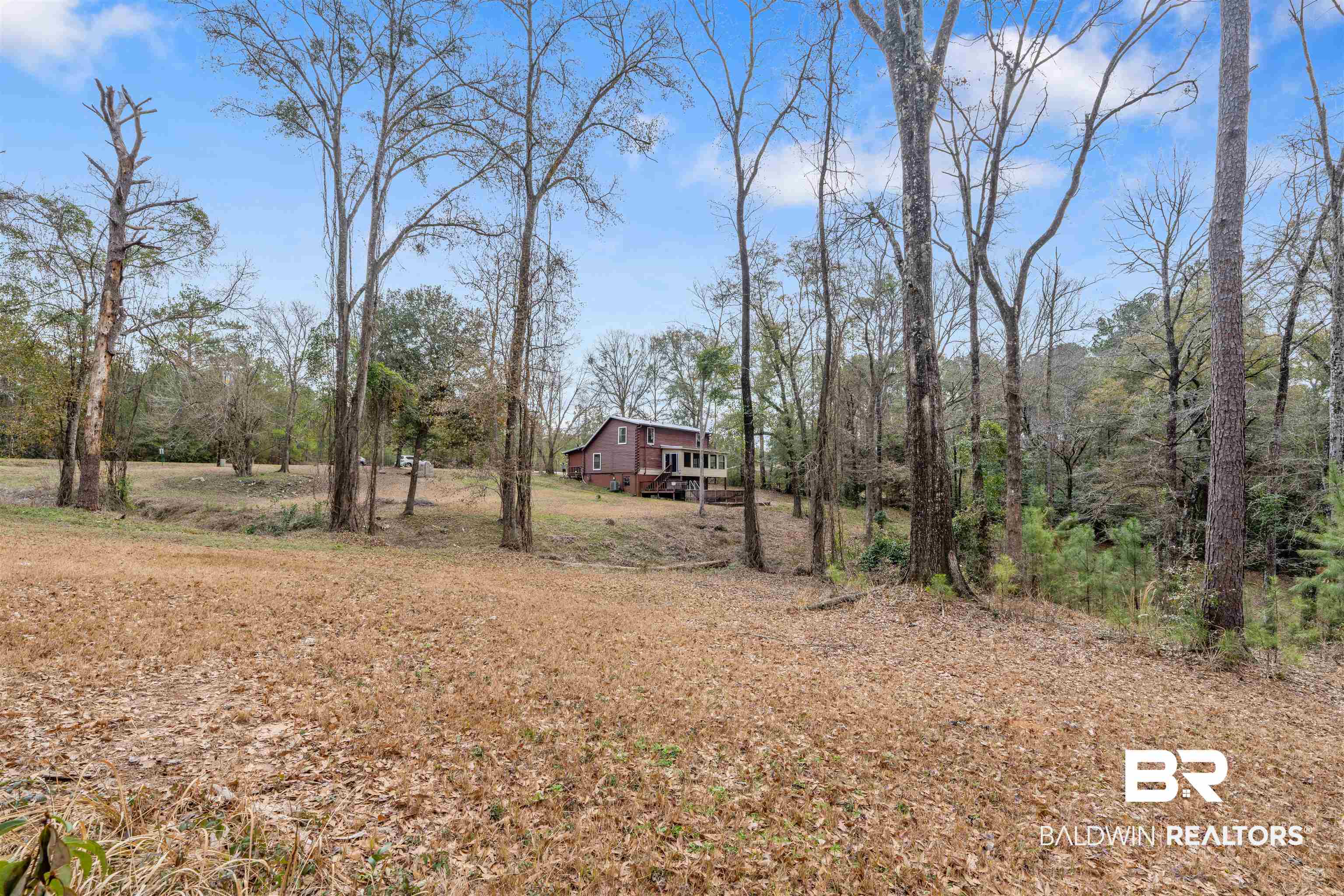 4131 Greaves Road Eight Mile, AL 36613 - Photo 24 of 39 View of yard