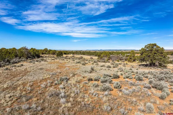 $205,000 | 136 Hesperus Co 81326, Hesperus, CO 81326