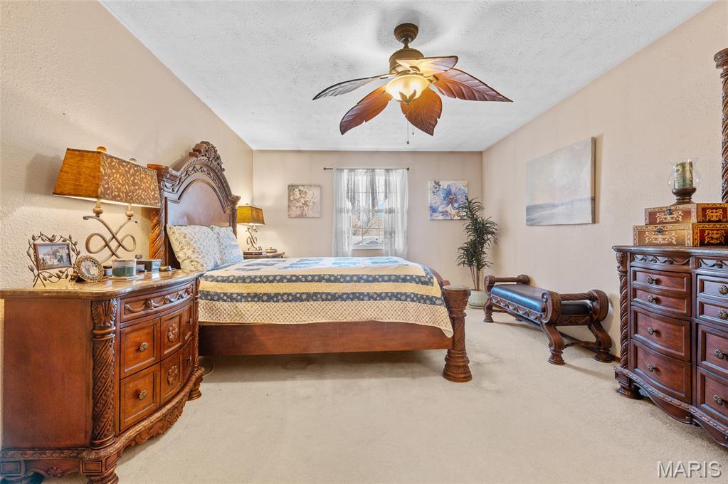 963 Long Branch Road Troy, IL 62294 - Photo 22 of 47