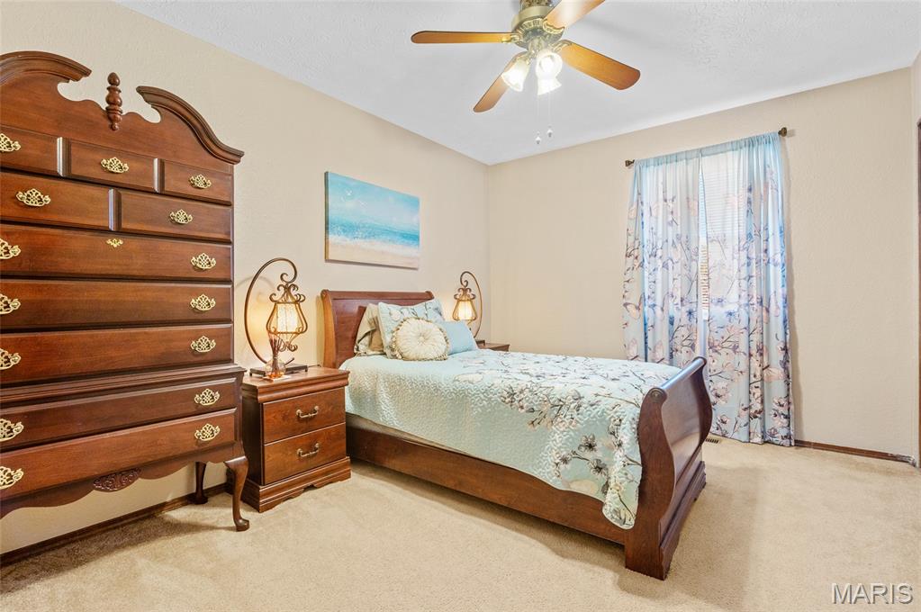 963 Long Branch Road Troy, IL 62294 - Photo 25 of 47