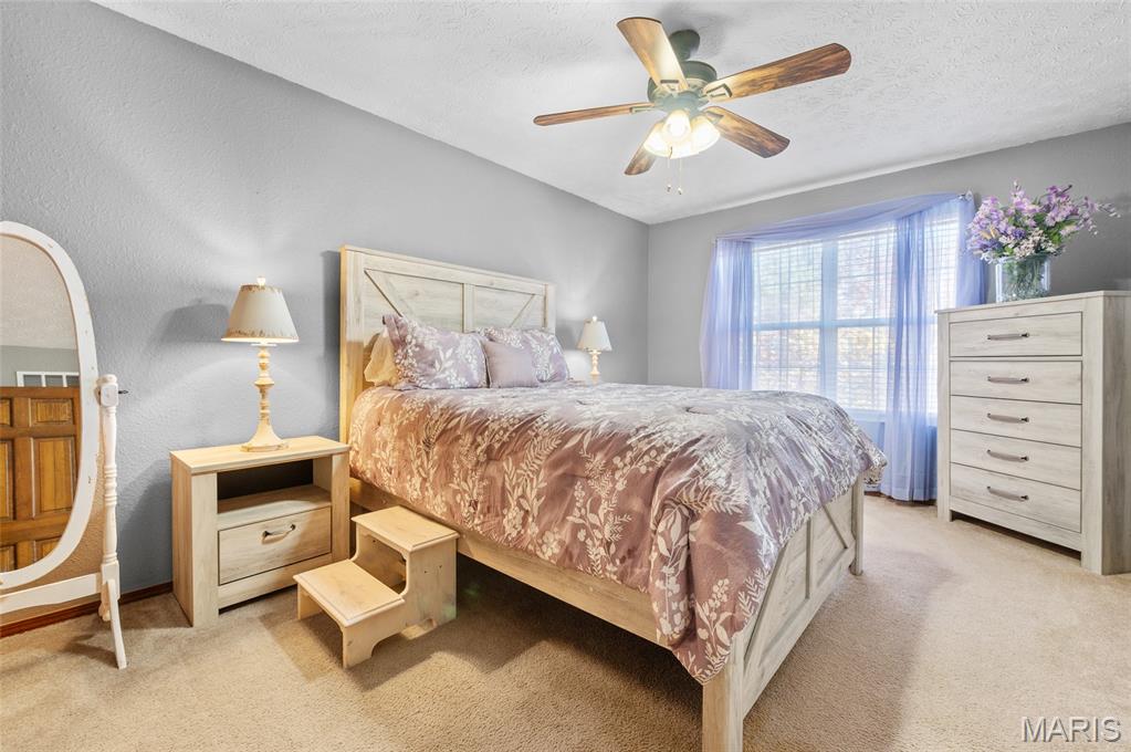 963 Long Branch Road Troy, IL 62294 - Photo 27 of 47