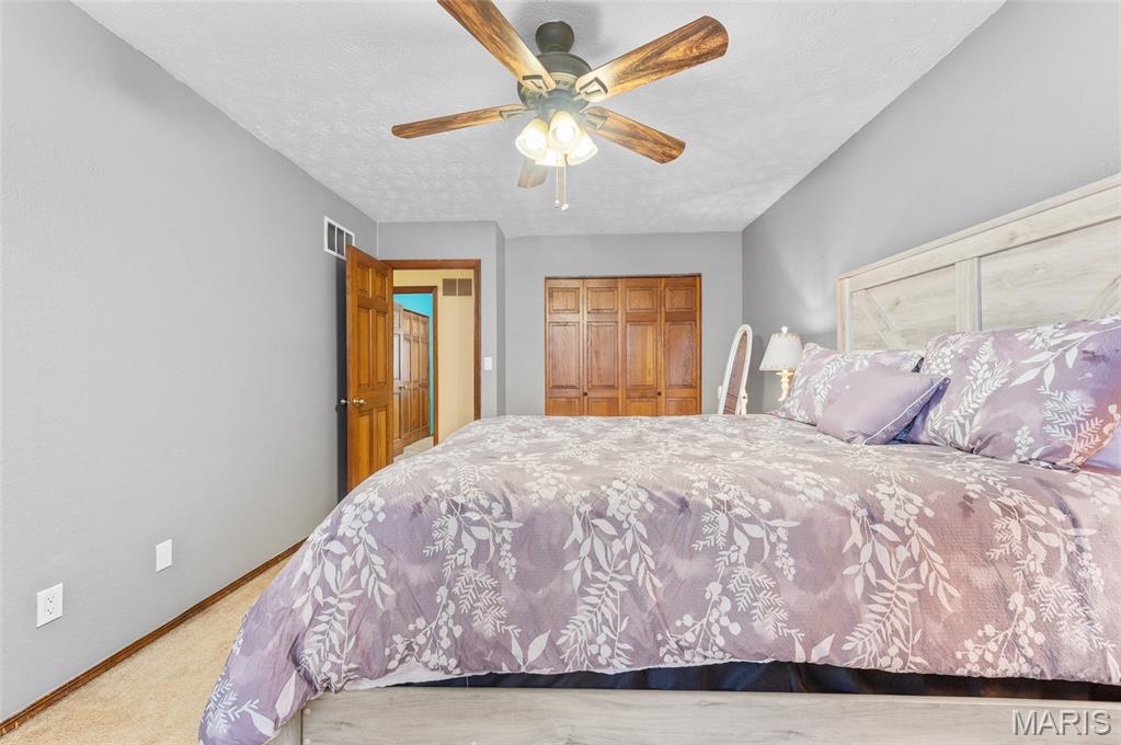 963 Long Branch Road Troy, IL 62294 - Photo 28 of 47