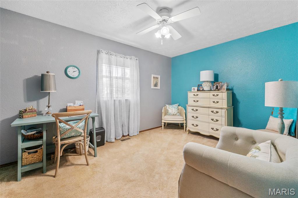 963 Long Branch Road Troy, IL 62294 - Photo 29 of 47