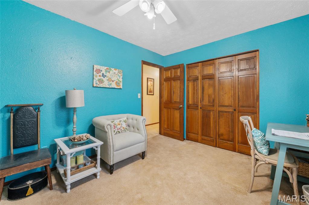 963 Long Branch Road Troy, IL 62294 - Photo 30 of 47