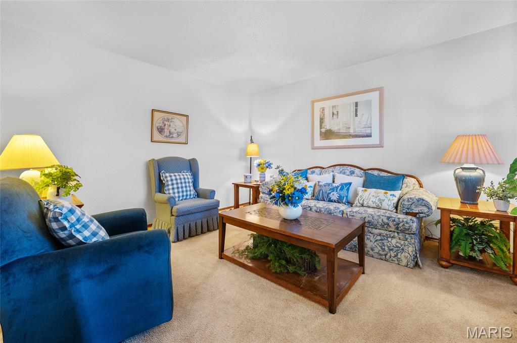 963 Long Branch Road Troy, IL 62294 - Photo 8 of 47