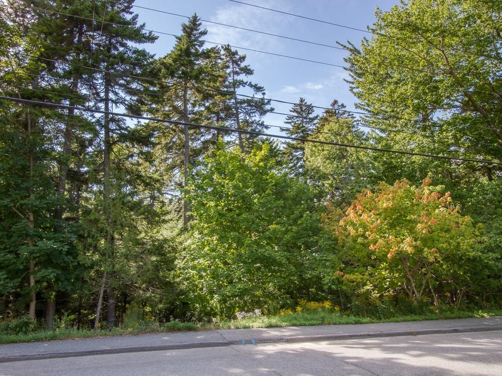 29 Jordan Pond Road Seal Harbor, ME 04675 - Photo 4 of 25 The property faces westerly to...