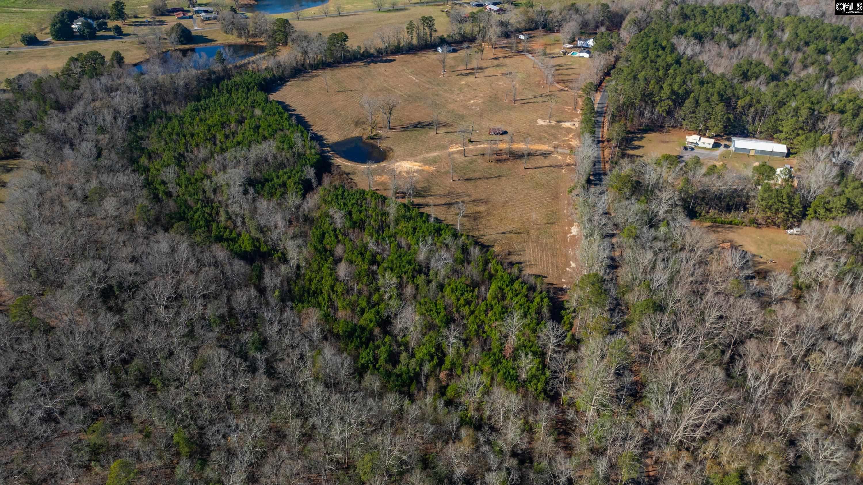 0 Cedar Grove Road Leesville, SC 29070 - Photo 11 of 14