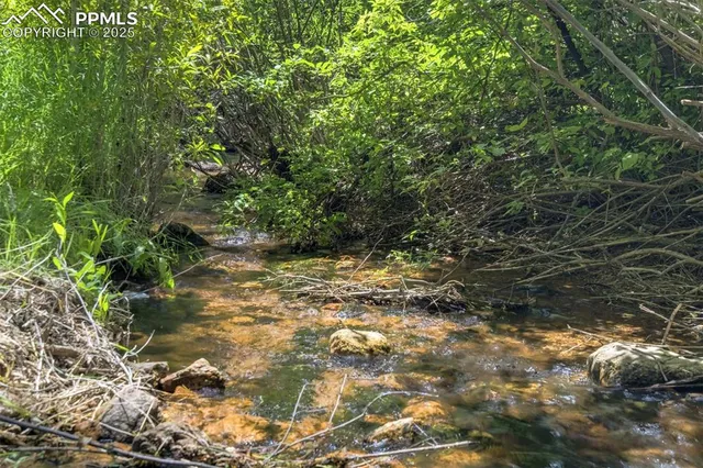a view of a yard with a tree