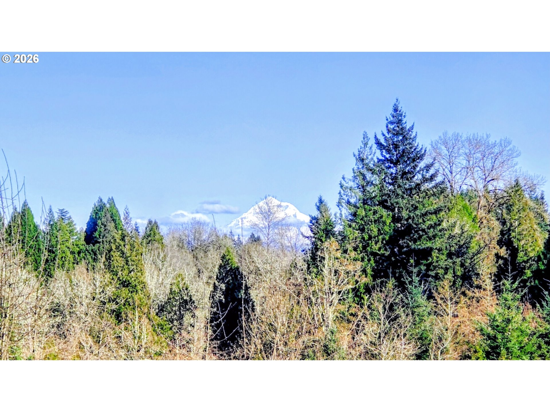 7326 Southeast 252nd Avenue Gresham, OR 97080 - Photo 29 of 38 Backyard