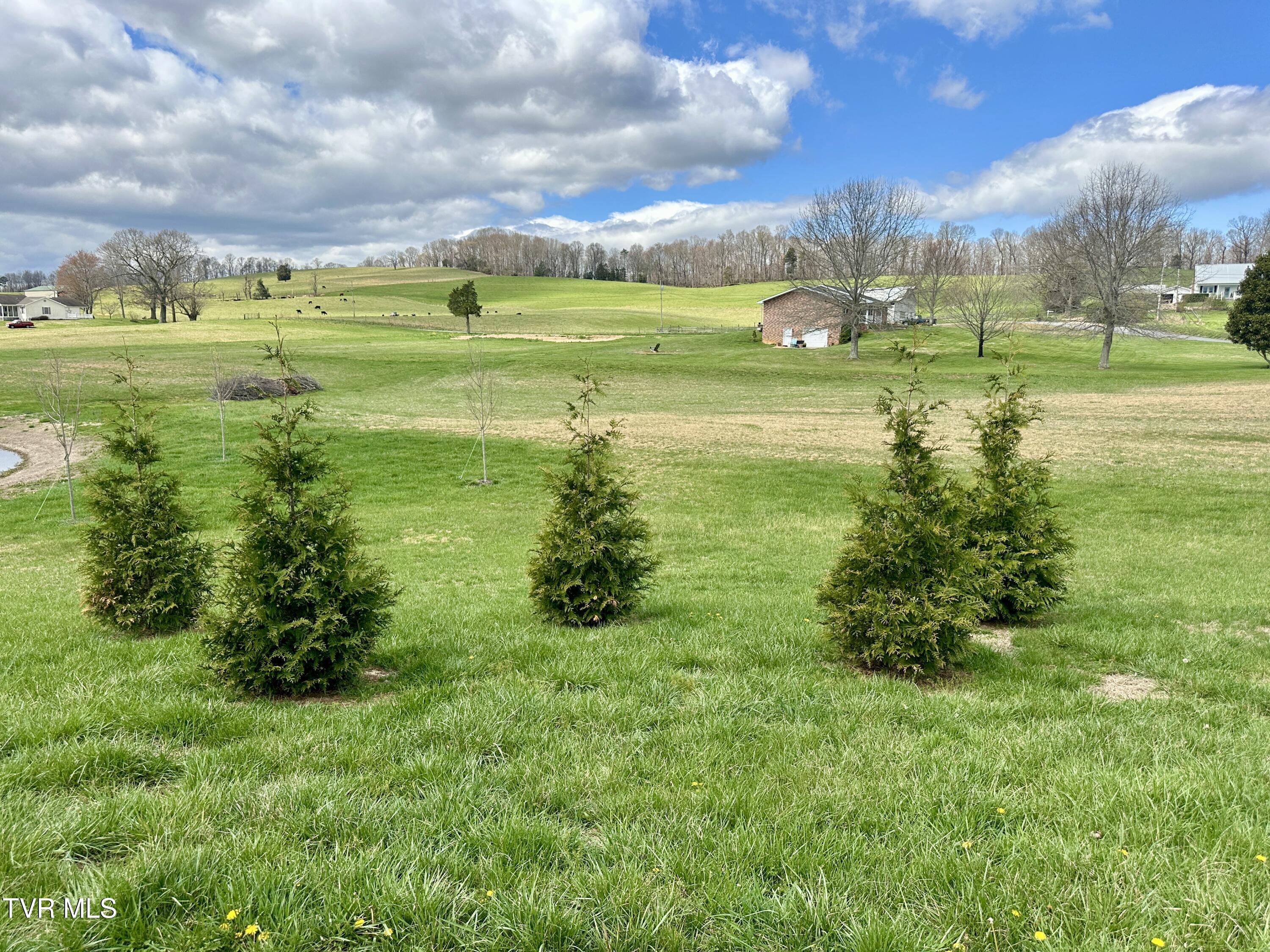 1600 Mary Lamons Road Afton, TN 37616 - Photo 69 of 89 048h