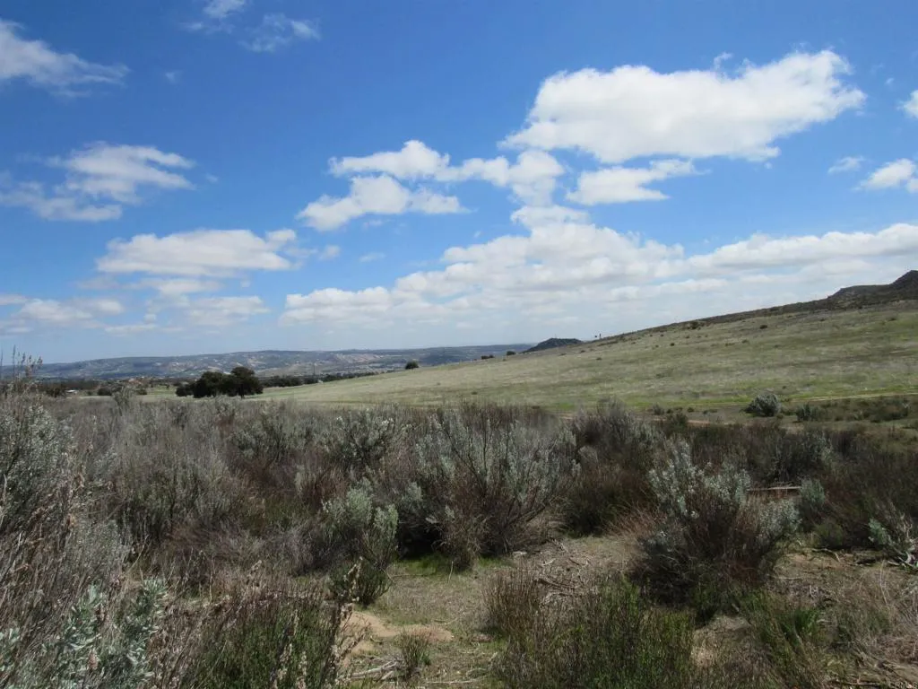 575 Hauser Creek Road Campo, CA 91906 - Photo 2 of 5 a view of a lake in middle of forest