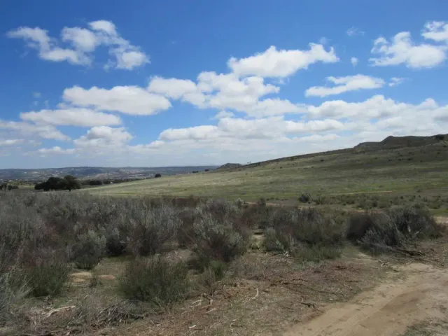 a view of a bunch of trees in a field