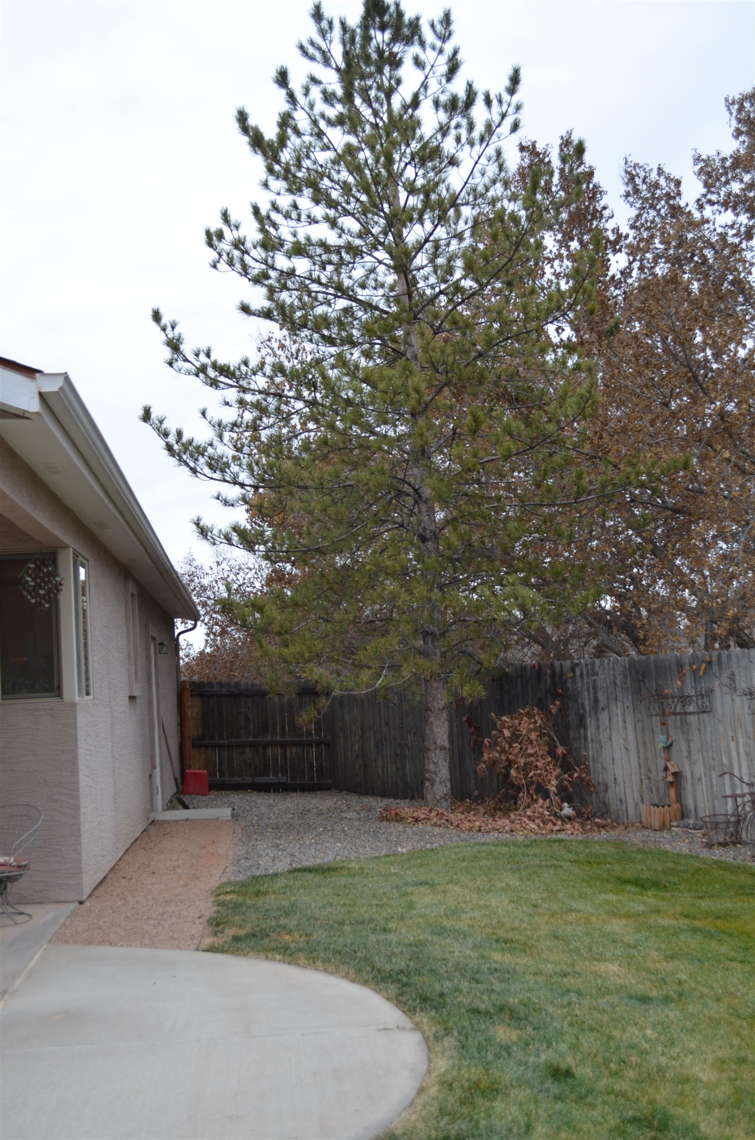 555 Rio Borde Court Grand Junction, CO 81507 - Photo 16 of 24 Gallery Image 16