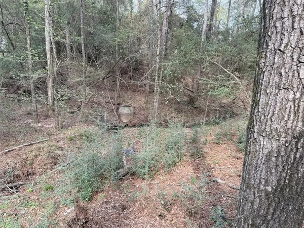 $150,000 | 76 Corkwood Road, Trinity, TX 75862