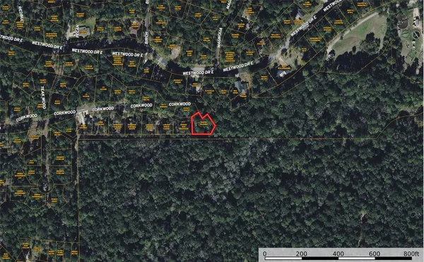 $150,000 | 76 Corkwood Road, Trinity, TX 75862