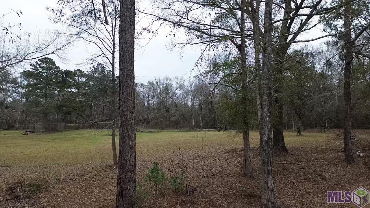 53264 Cason Road Independence, LA 70443 - Photo 13 of 14