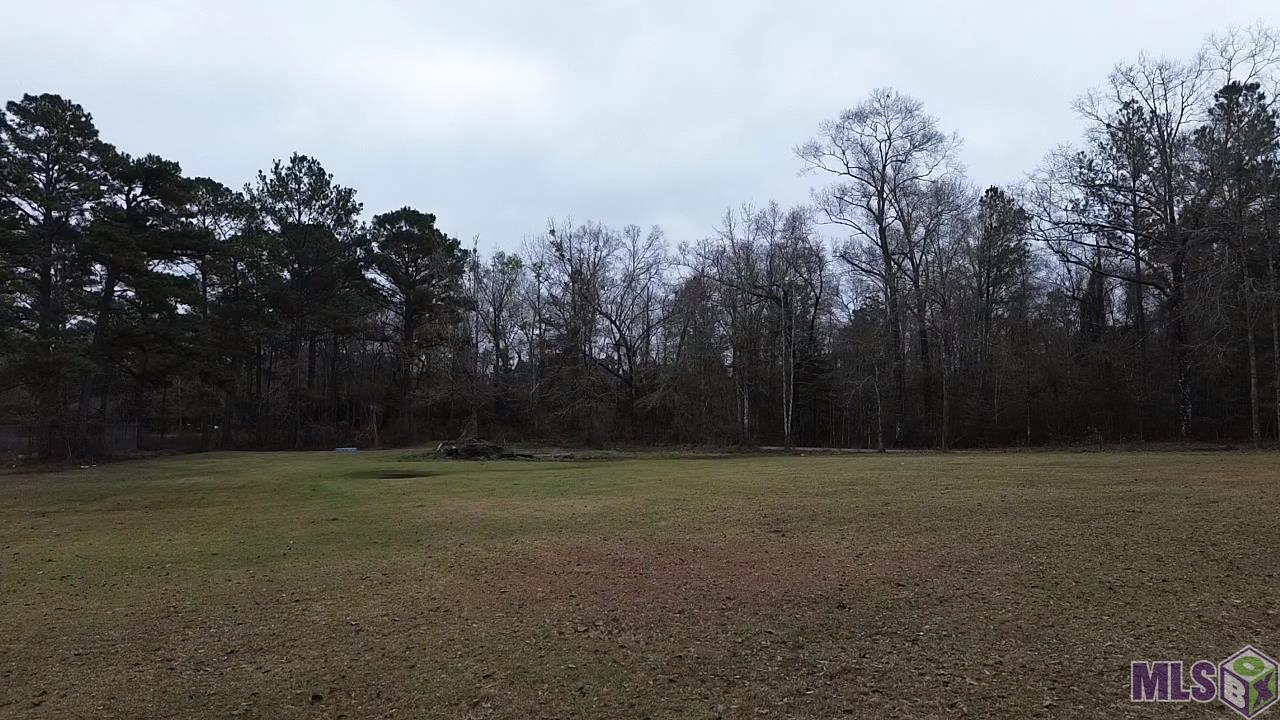 53264 Cason Road Independence, LA 70443 - Photo 14 of 14