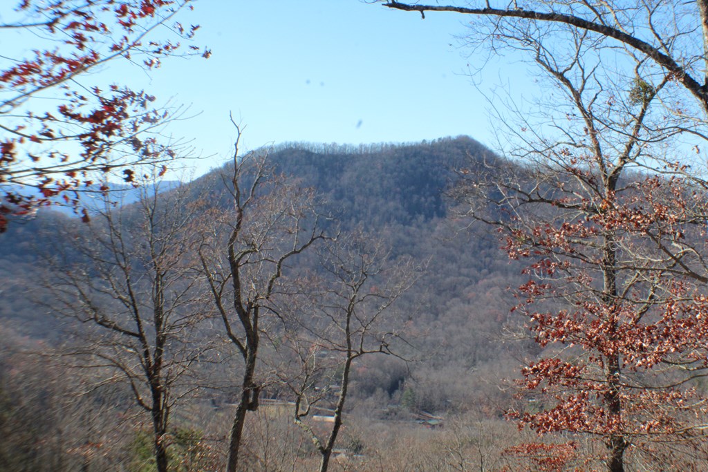 Lot 139 Shiloh Ridge Hayesville, NC 28904 - Photo 11 of 11