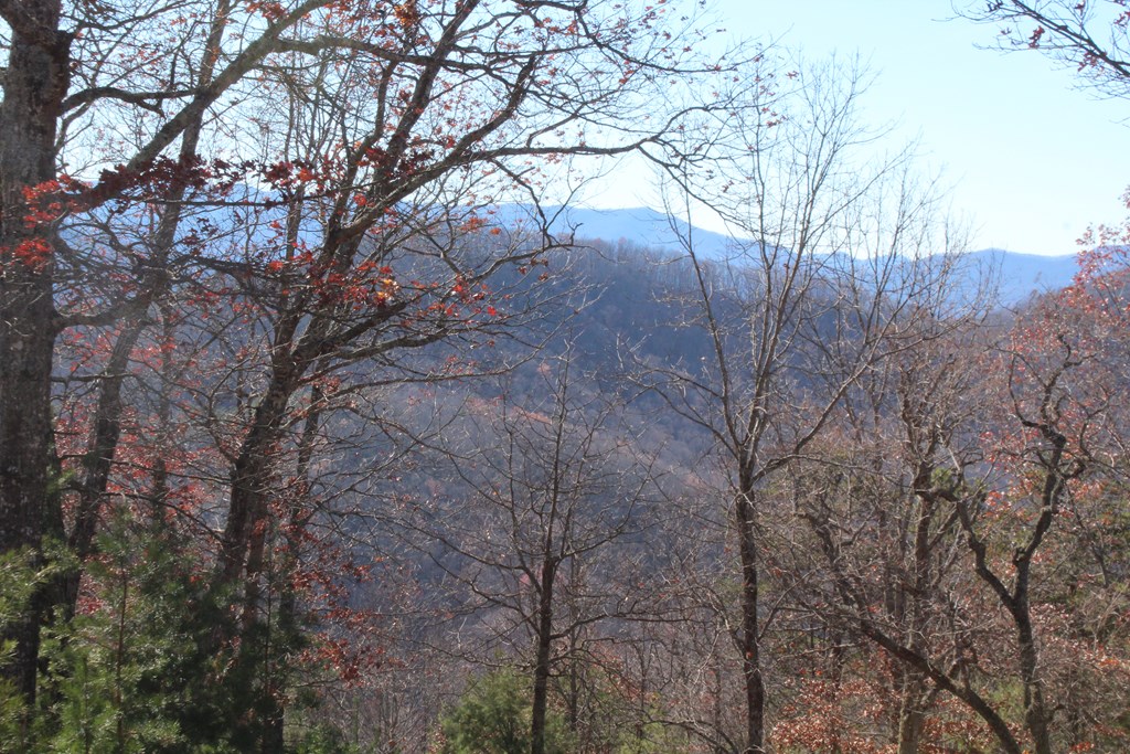 Lot 139 Shiloh Ridge Hayesville, NC 28904 - Photo 6 of 11
