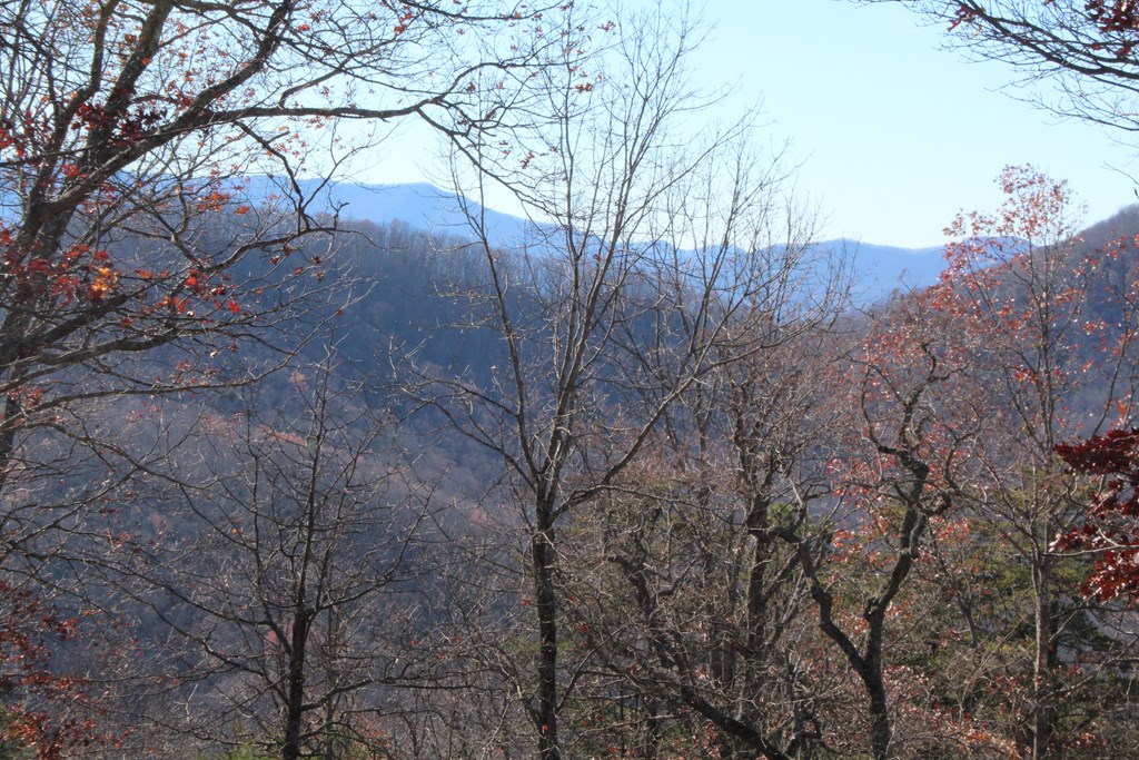Lot 139 Shiloh Ridge Hayesville, NC 28904 - Photo 7 of 11