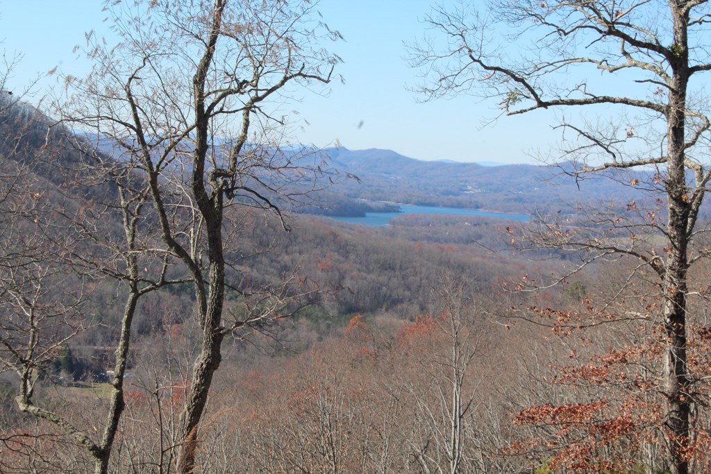 Lot 139 Shiloh Ridge Hayesville, NC 28904 - Photo 8 of 11