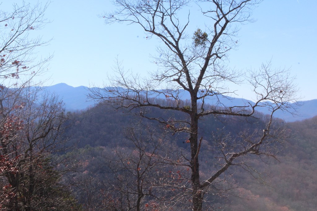 Lot 139 Shiloh Ridge Hayesville, NC 28904 - Photo 9 of 11