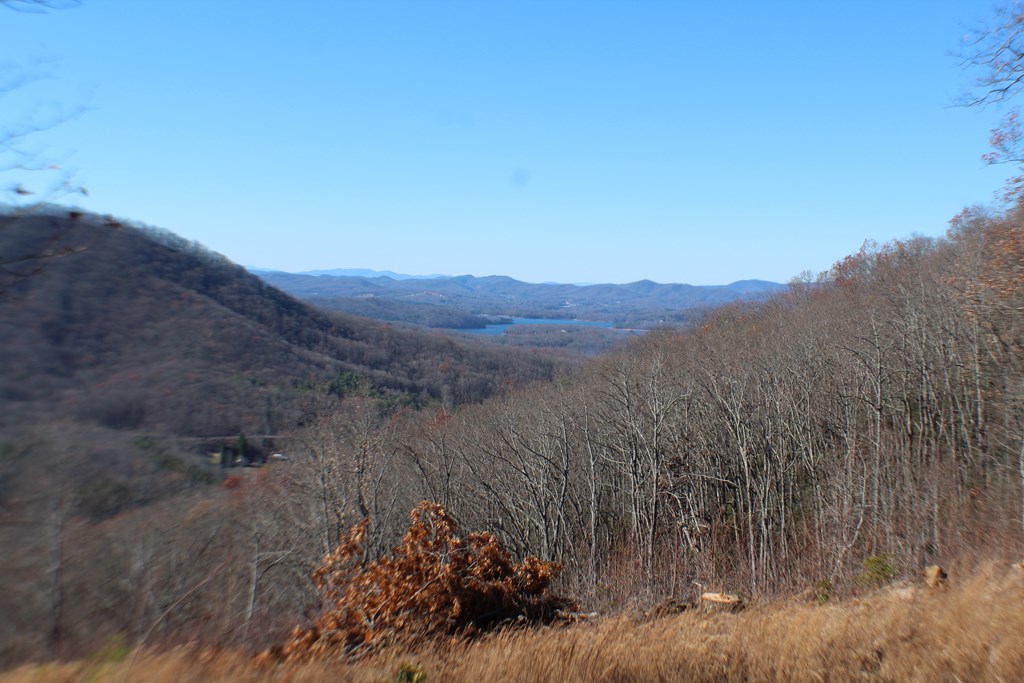 Lot 139 Shiloh Ridge Hayesville, NC 28904 - Photo 10 of 11