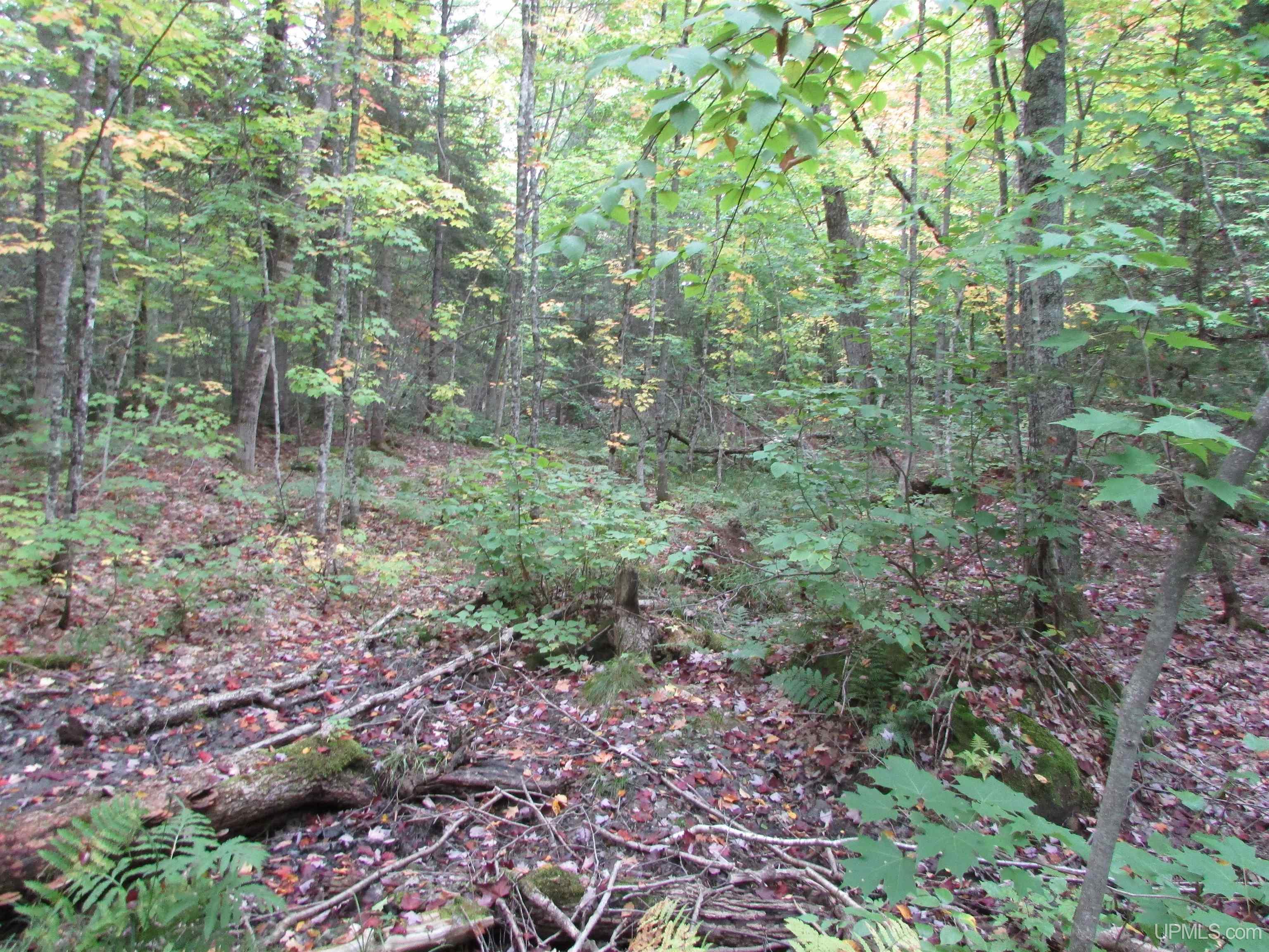 19337 Clear Lake Road Michigamme, MI 49861 - Photo 23 of 50 Gallery Image 23