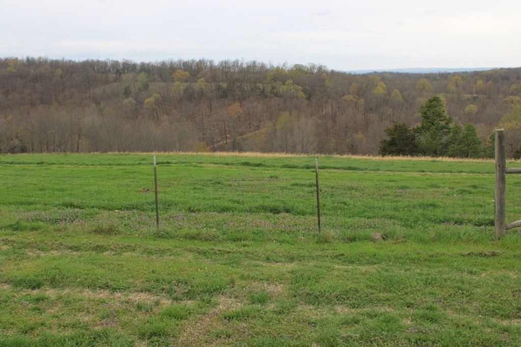 416 New Hope Road Marshall, AR 72650 - Photo 26 of 60 view from cabin back porch