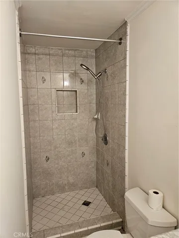 a bathroom with a shower and toilet