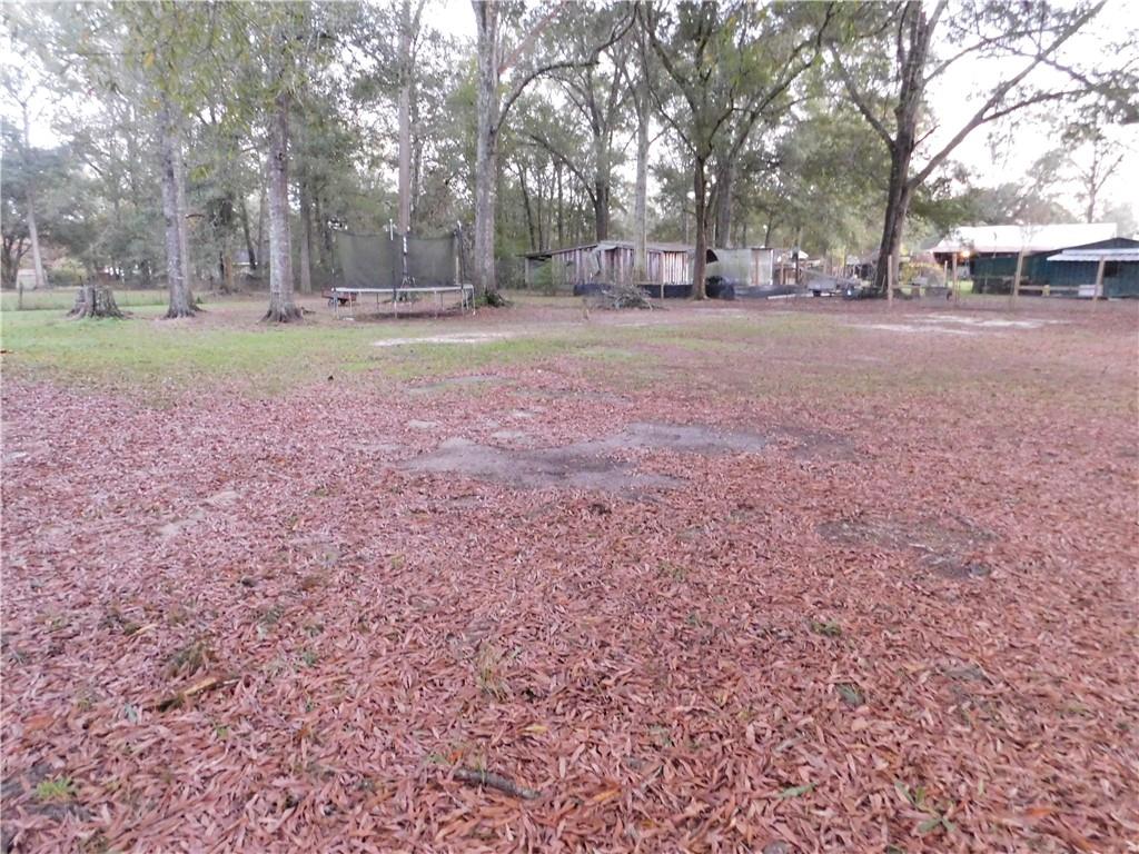 12460 A Robertson Road Tickfaw, LA 70466 - Photo 3 of 10