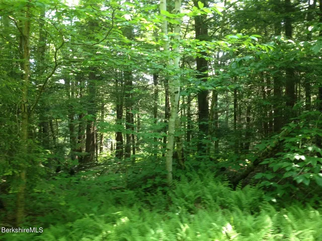 $59,000 | 0 Trail Circle, Becket, MA 01223