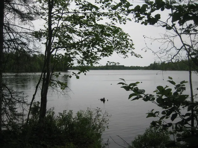 $320,000 | 13848 Queen's Bay Road, Ely, MN 55731