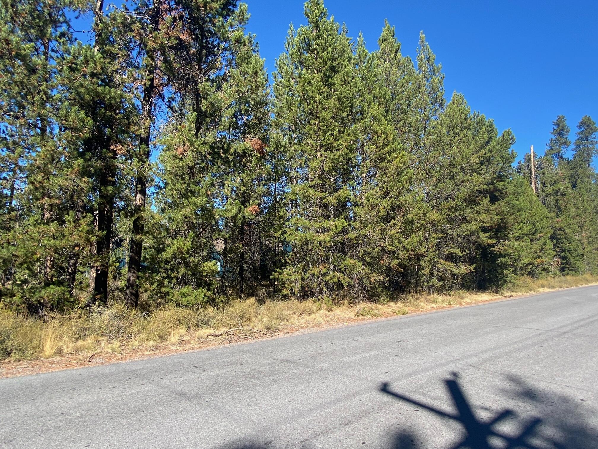 17266 Tholstrup Road Bend, OR 97707 - Photo 11 of 11 image3