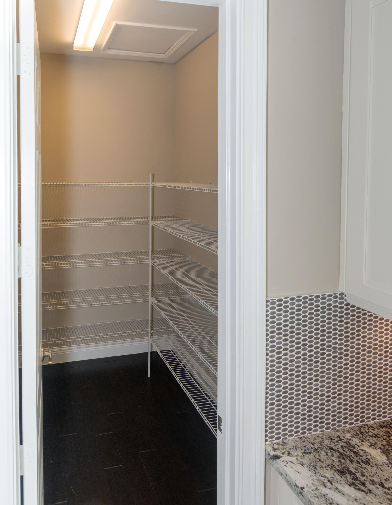 17872 Key Vista Way Boca Raton, FL 33496 - Photo 10 of 41 Walk-in pantry
