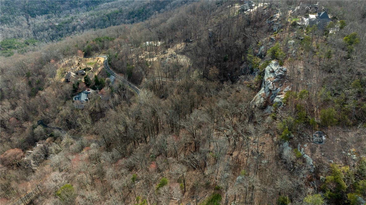 0 High Country Way Landrum, SC 29356 - Photo 12 of 16